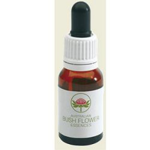 ISOPOGON AUSTRALIAN 15ML GTT ISOPOGON AUSTRALIAN 15ML GTT