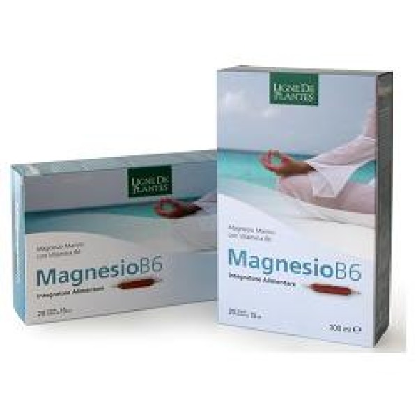 MAGNESIO B6 20AB 15ML MAGNESIO B6 20AB 15ML