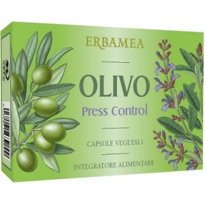 OLIVO Press Control 36 Cps EBM