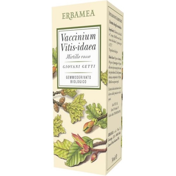 VACCINIUM VITIS IDAEA BIO 50ML VACCINIUM VITIS IDAEA BIO 50ML