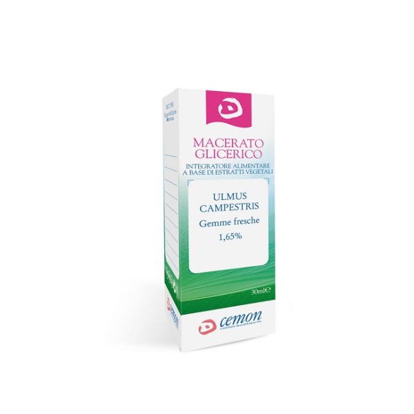 ULMUS CAMPEST GEMME MG 30ML ULMUS CAMPEST GEMME MG 30ML