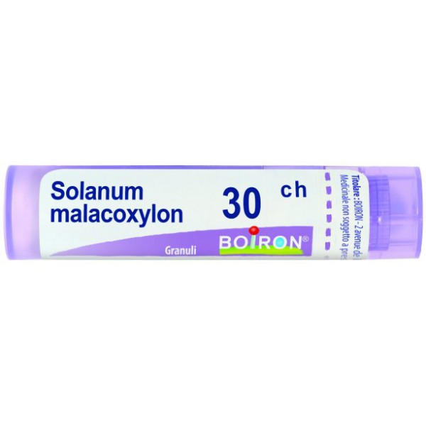 SOLANUM MALACOXYLON 30CH GR