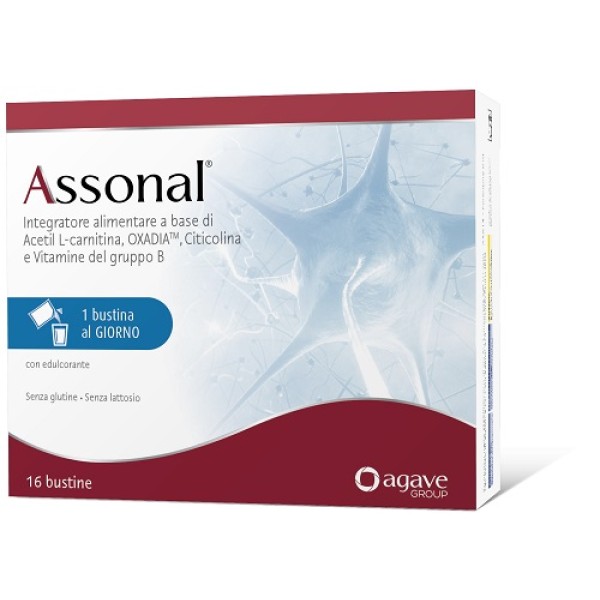 ASSONAL 16 Bust. ASSONAL 16 Bust.