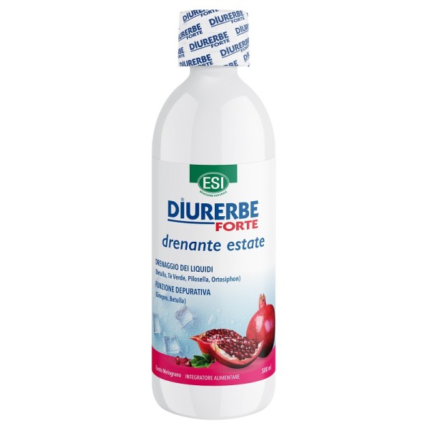 DIURERBE Fte Melogr.Bipacco