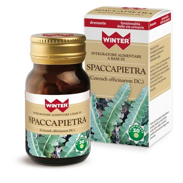 WINTER Spaccapietra 30 Cpr WINTER Spaccapietra 30 Cpr