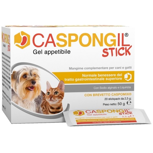 CASPONGIL STICK 20Stick Pack CASPONGIL STICK 20Stick Pack