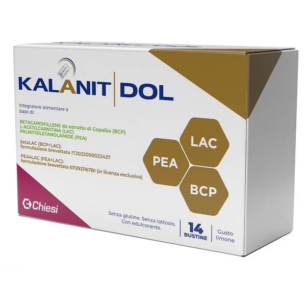 KALANIT DOL 14 Bust.
