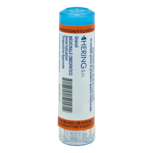 APIS MELLIFICA SGL 5CH 4G GR