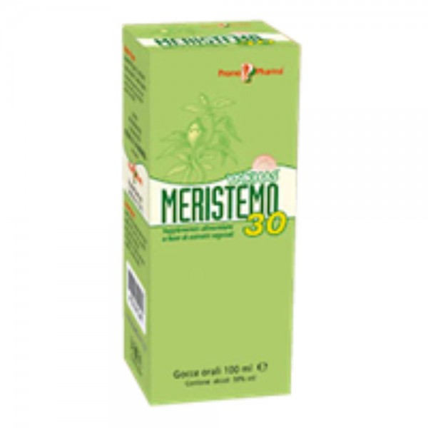 MERISTEMO YNKHAS 30 100ml