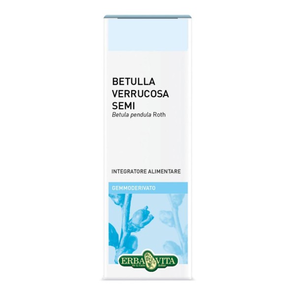 GEMMODERIVATO Betulla Semi EBV GEMMODERIVATO Betulla Semi EBV