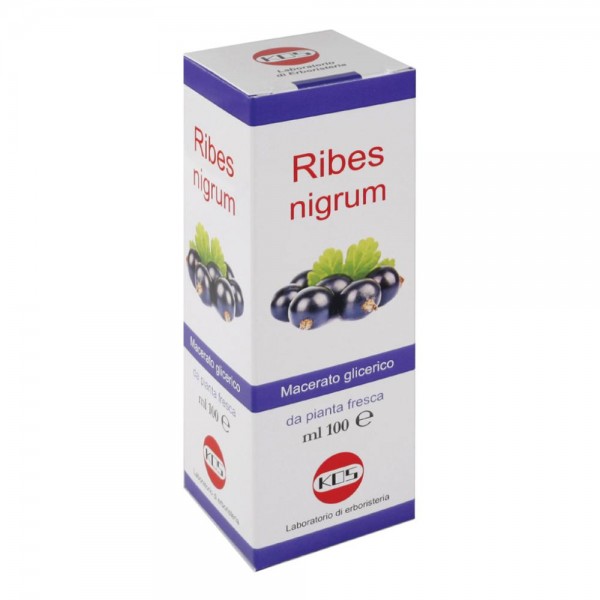 RIBES NIGRUM MG 100ml KOS