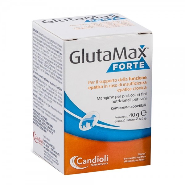 GLUTAMAX Fte  40 Cpr