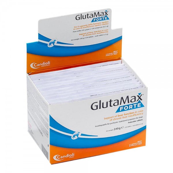 GLUTAMAX Fte 120 Cpr