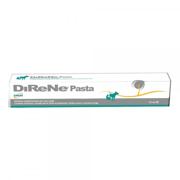 DIRENE Pasta 15ml