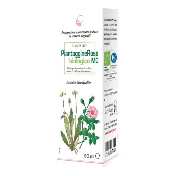 PIANTAGGINE RA MACERATO CAIRA PIANTAGGINE RA MACERATO CAIRA