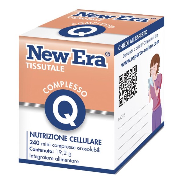 NEW ERA Q 240GR NEW ERA Q 240GR