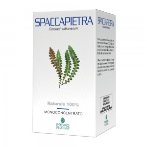 SPACCAPIETRA 50 Cps PRP