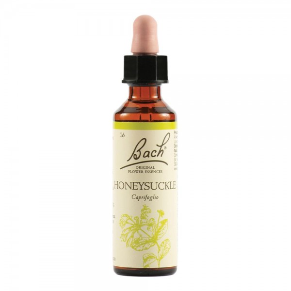 HONEYSUCKLE BACH ORIG 20ML