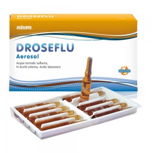 DROSEFLU Aerosol 10f.2ml