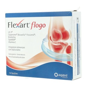 FLEXART Flogo 14*Bust.