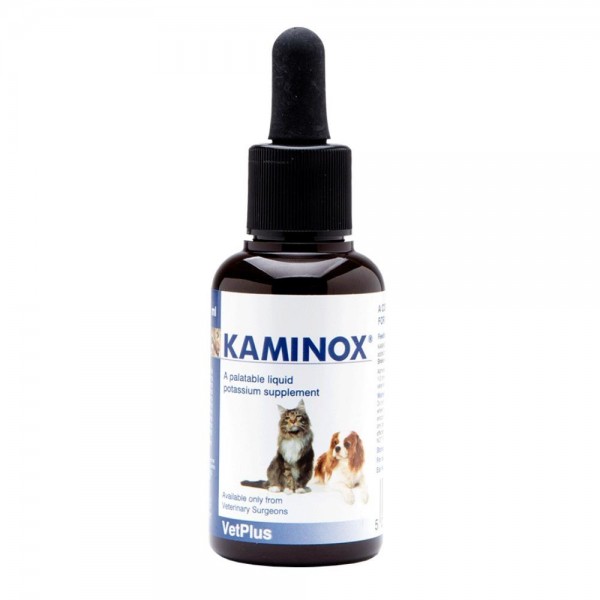 KAMINOX Sciroppo 60ml