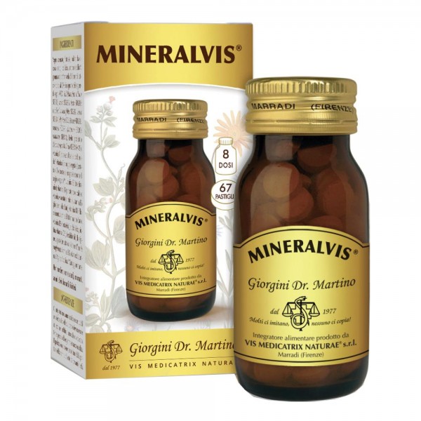 MINERALVIS  67 Past.600mg