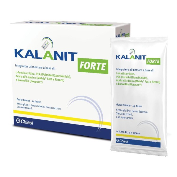 KALANIT Forte 14 Bust. KALANIT Forte 14 Bust.