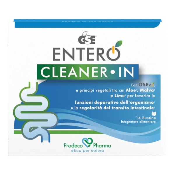 GSE Cleaner In 14*Buste 77g GSE Cleaner In 14*Buste 77g