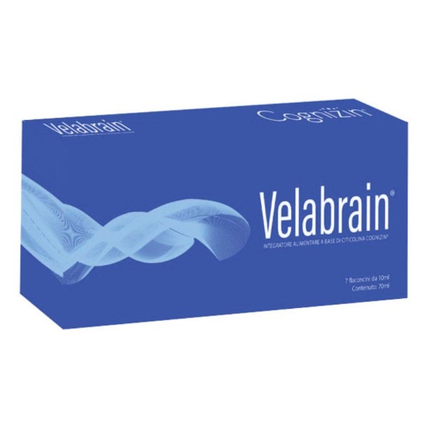 VELABRAIN 7Fl.